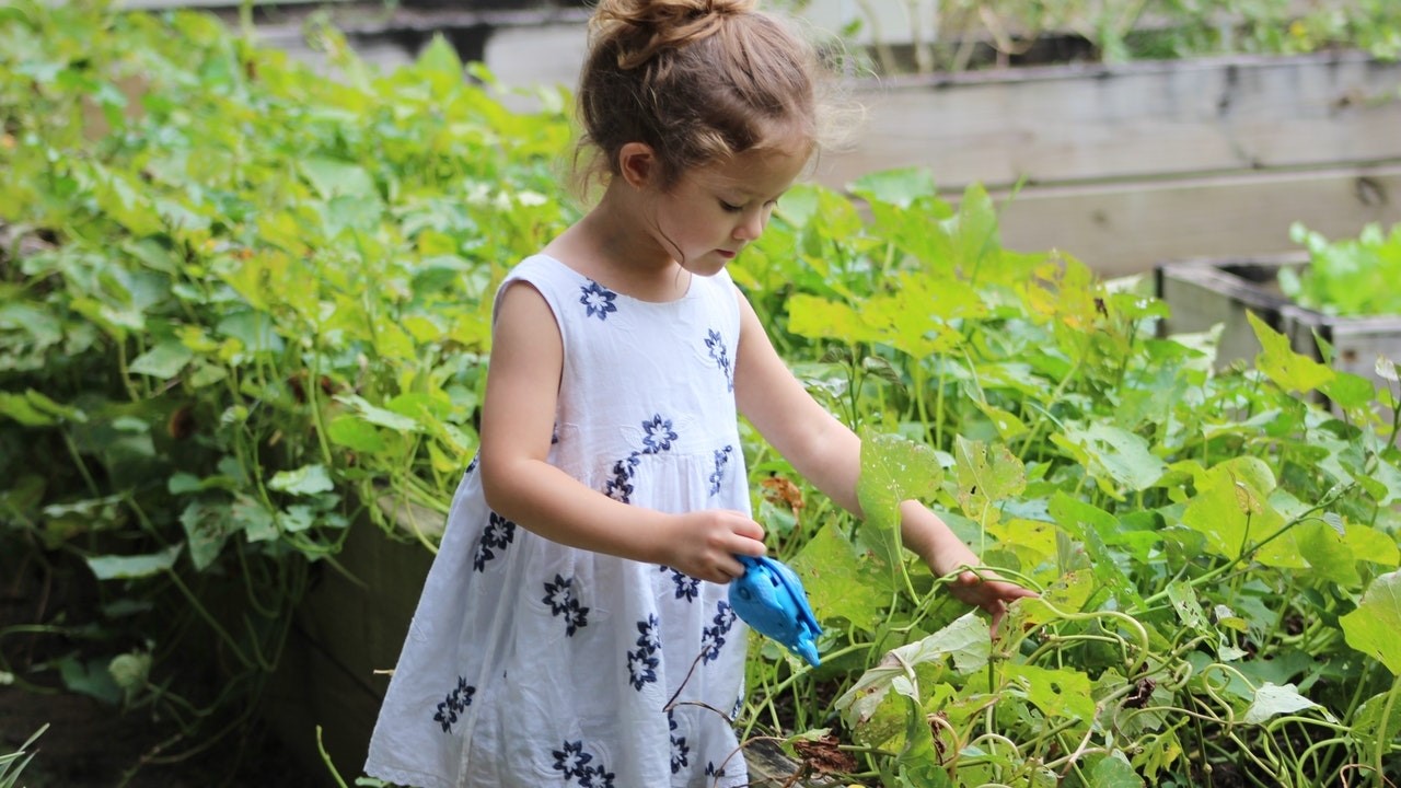 berkebun bisa mengatasi stres