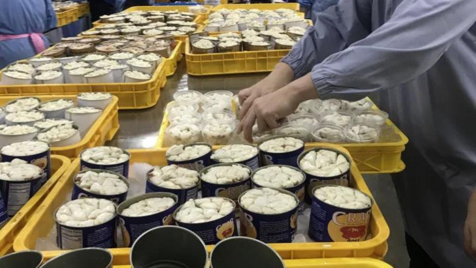 Baru IPO di Bulan Ini! Saham Crab Mencatatkan Pendapatan Sebesar 323M