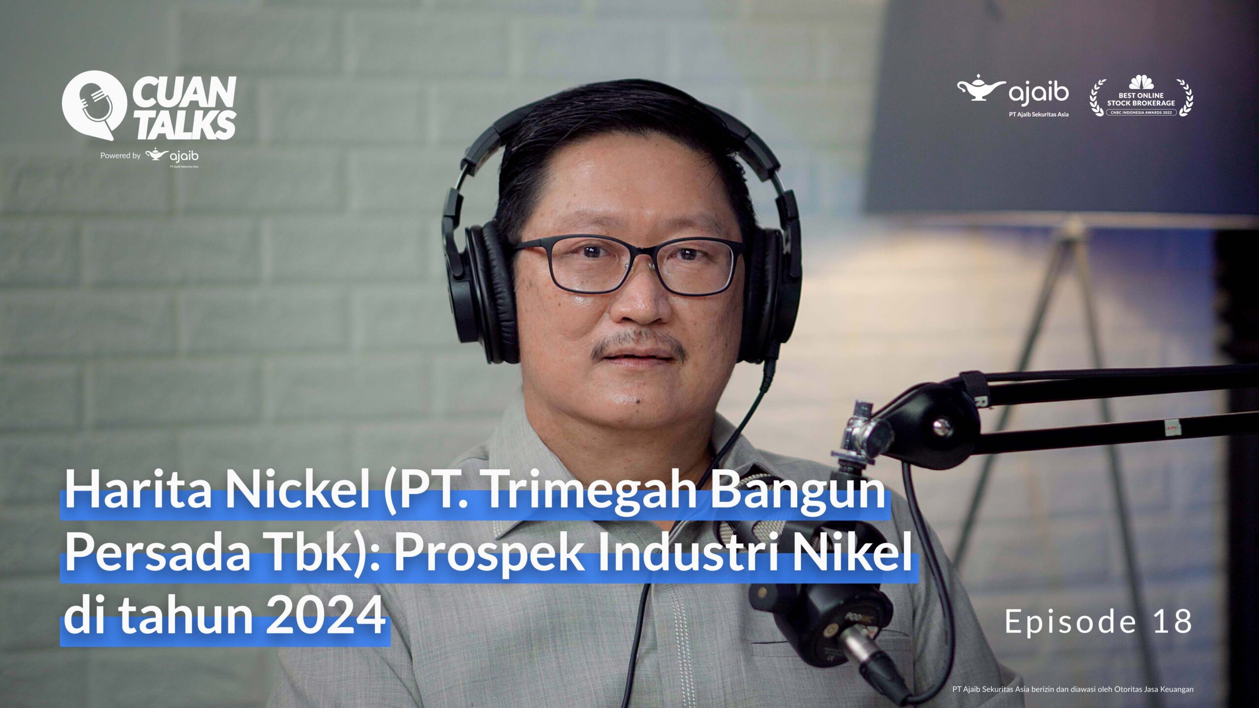 Harita Nickel (PT. Trimegah Bangun Persada Tbk): Prospek Industri Nikel di Tahun 2024