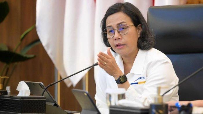 Kinerja APBN Hingga Akhir Mei 2024: Menkeu Laporkan Pencapaian dan Tantangan Ekonomi
