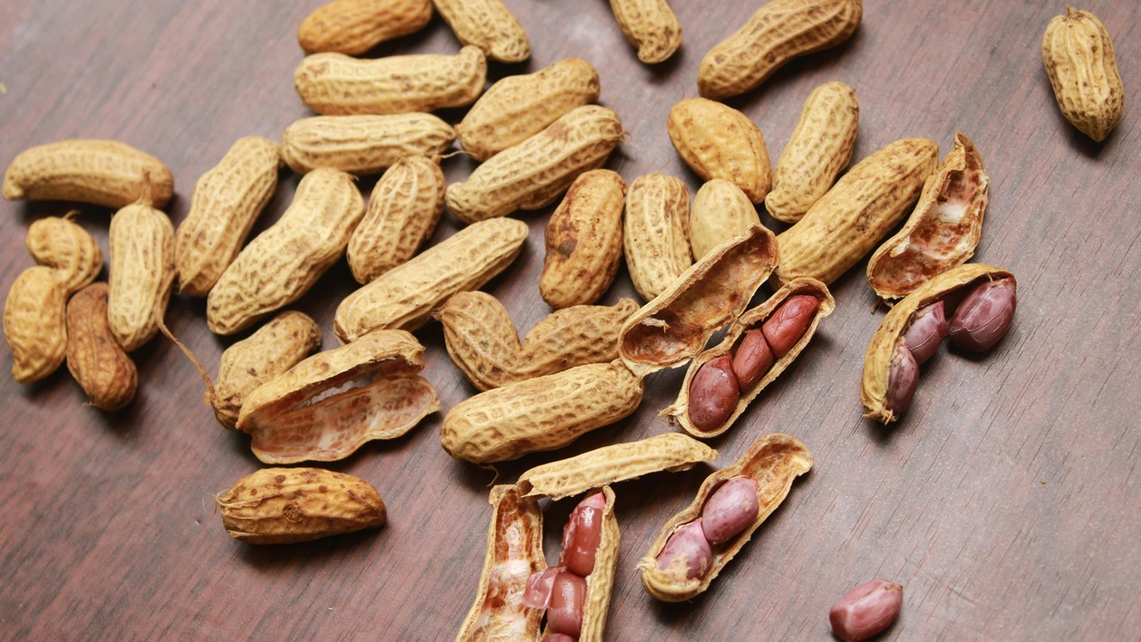 Bedah Saham GUNA, Industri Makanan Kacang-kacangan