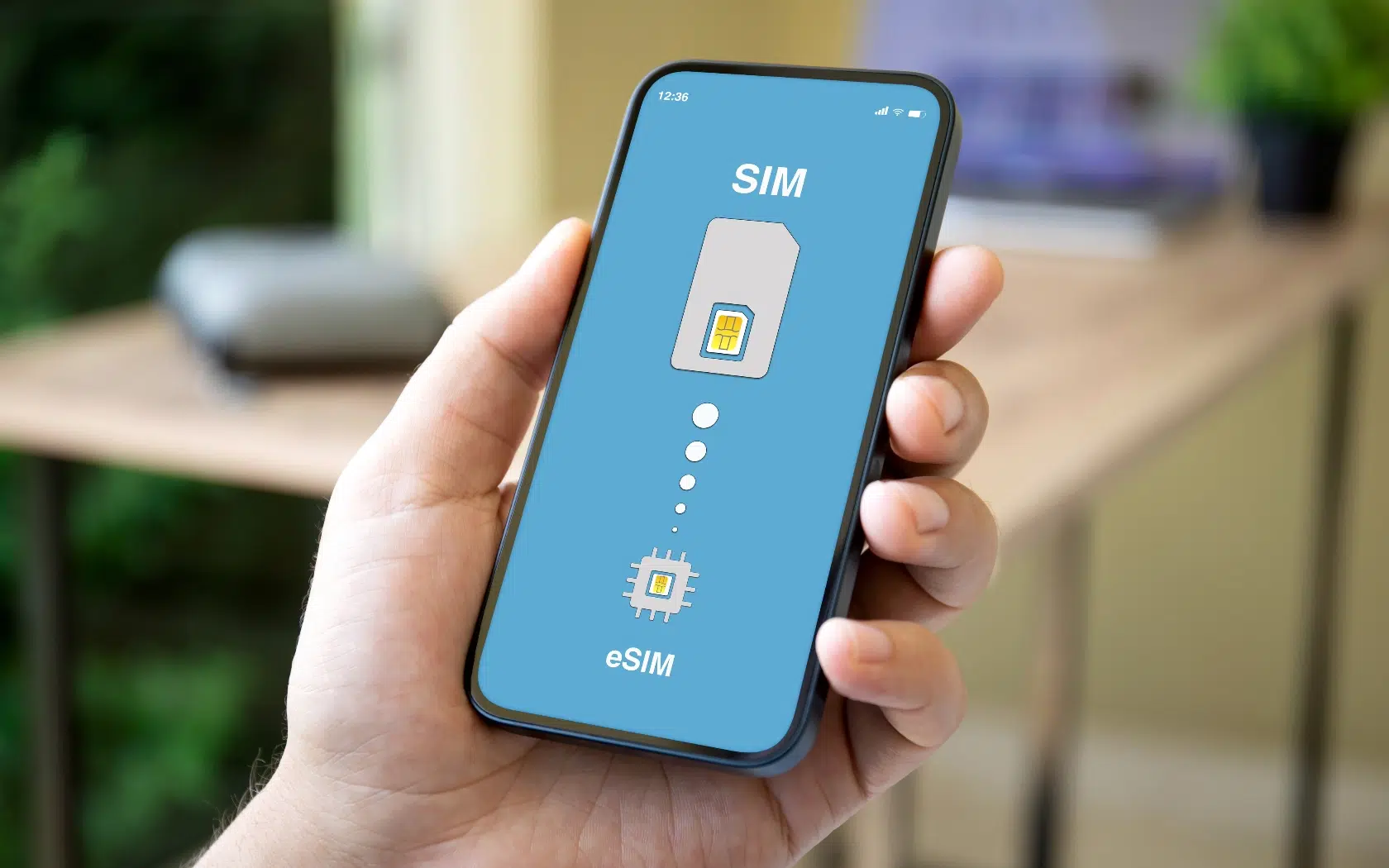 eSim
