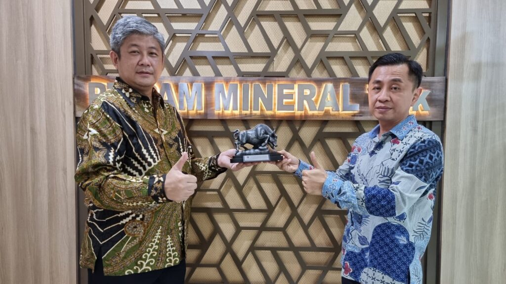 PAM Mineral NICL