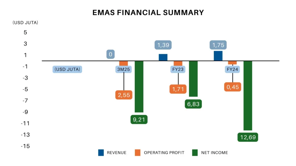 EMAS financial summary EMAS financial summary