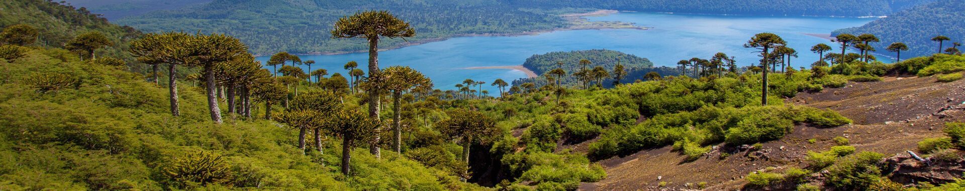 Vuelos a Temuco con SKY