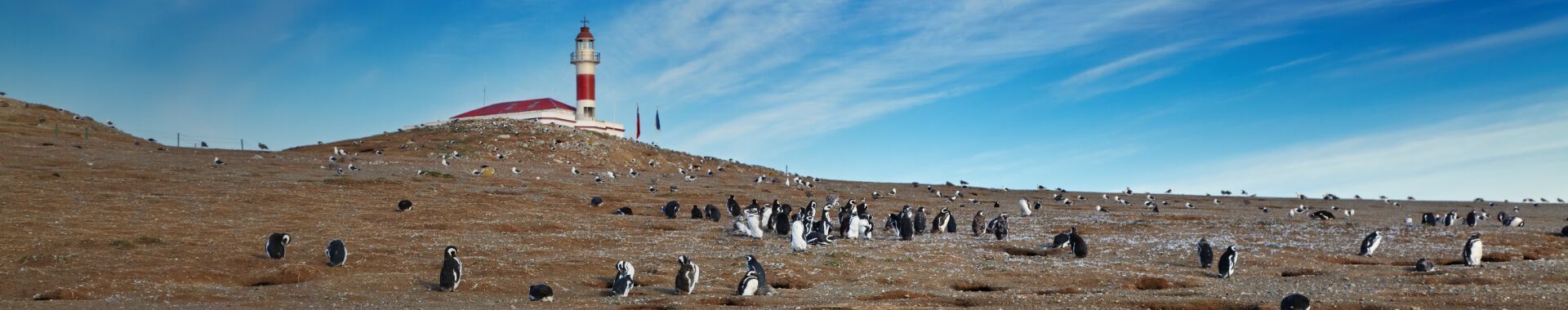 Vuelos a Punta Arenas con SKY