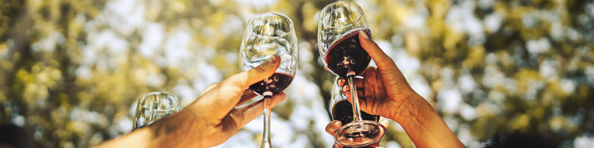 Rotas do vinho no Chile