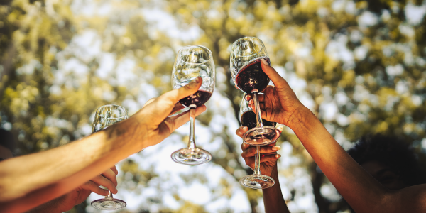 Rotas do vinho no Chile