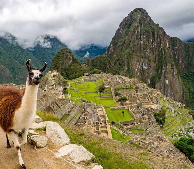 Machu Picchu