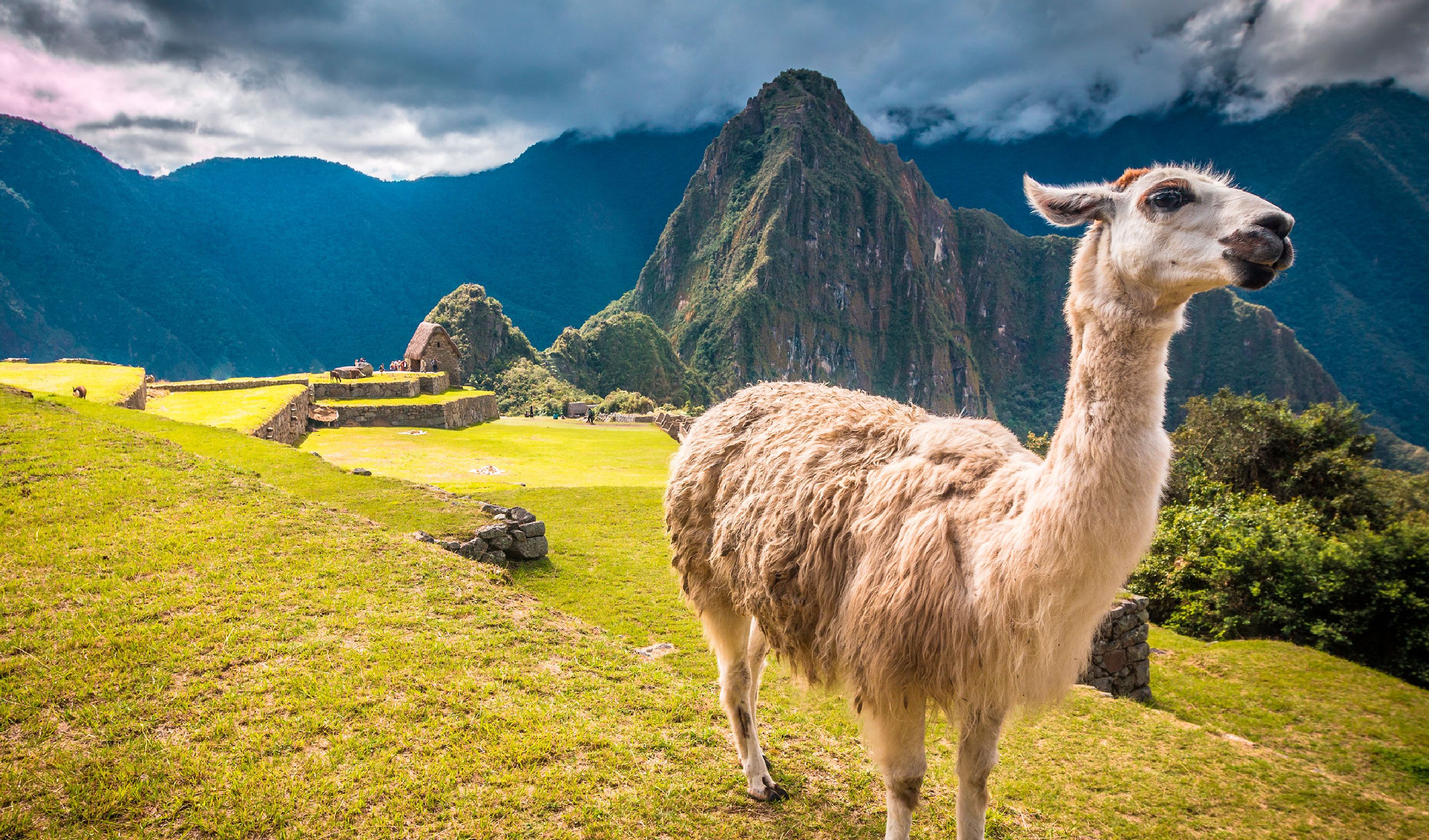 Cusco and Machu Picchu