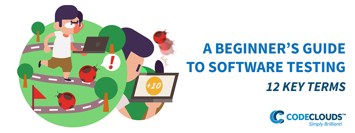 Software testing: 12 things you need to know