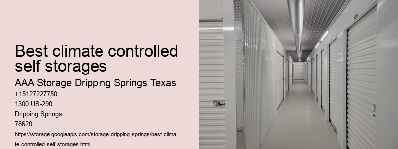 self storage unit near Dripping Springs