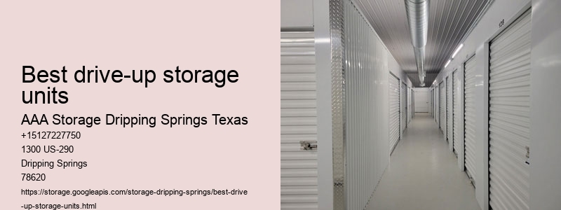 climate controlled storage Dripping Springs