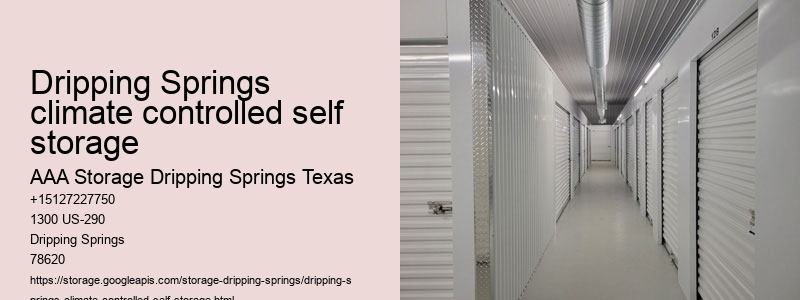 auto self storage Dripping Springs