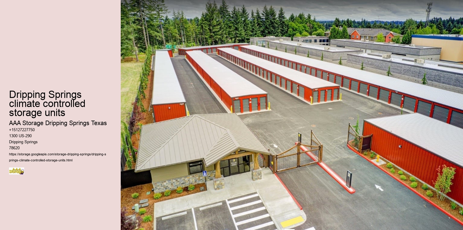 climate controlled storage facilities near Dripping Springs