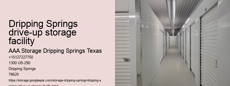 climate controlled self storage near Dripping Springs