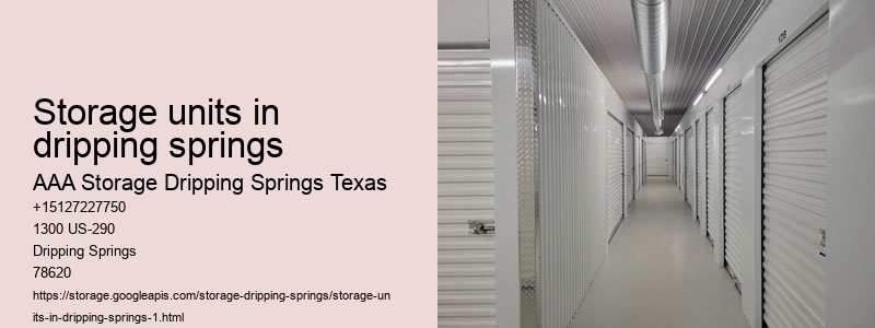 aaa storage dripping springs