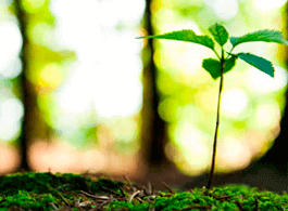 Gestão Ambiental