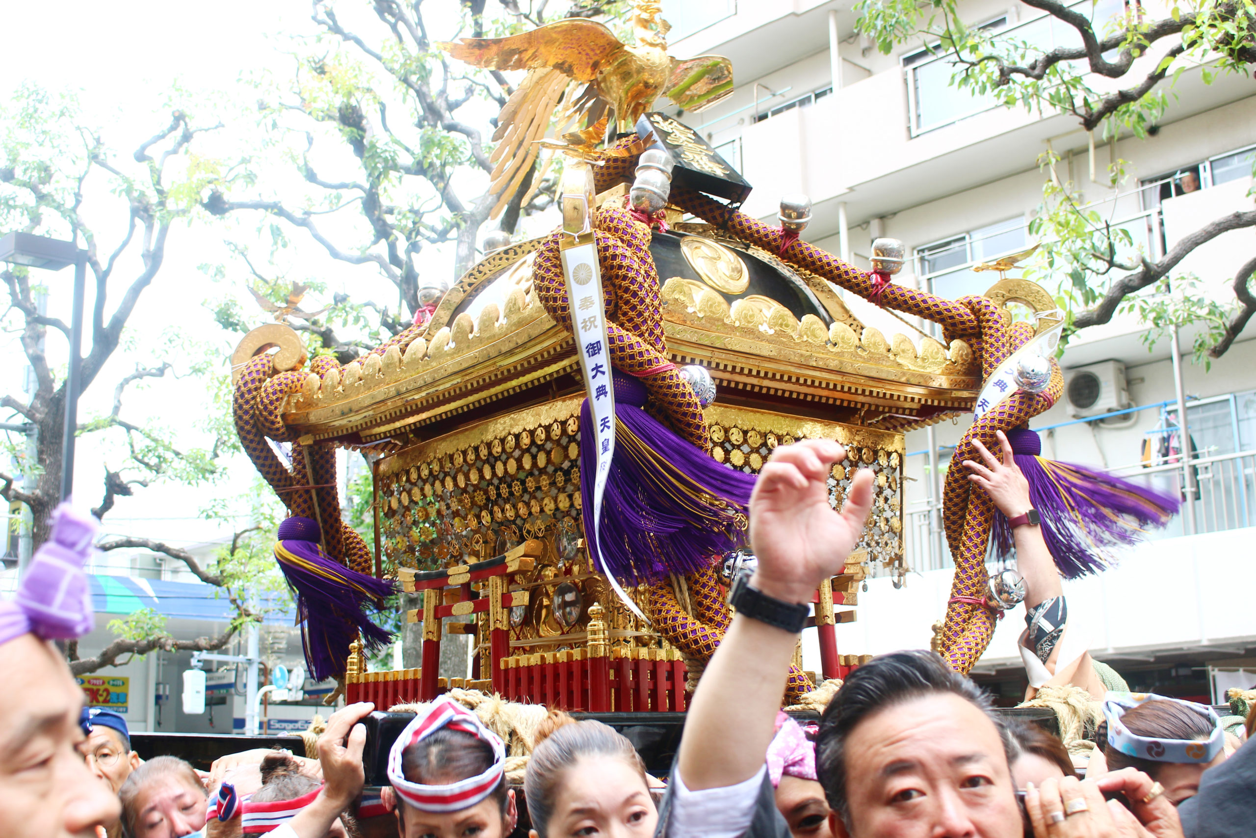 2023年は「かげまつり」！東向島白鬚神社例大祭！下町を巡る神輿山車