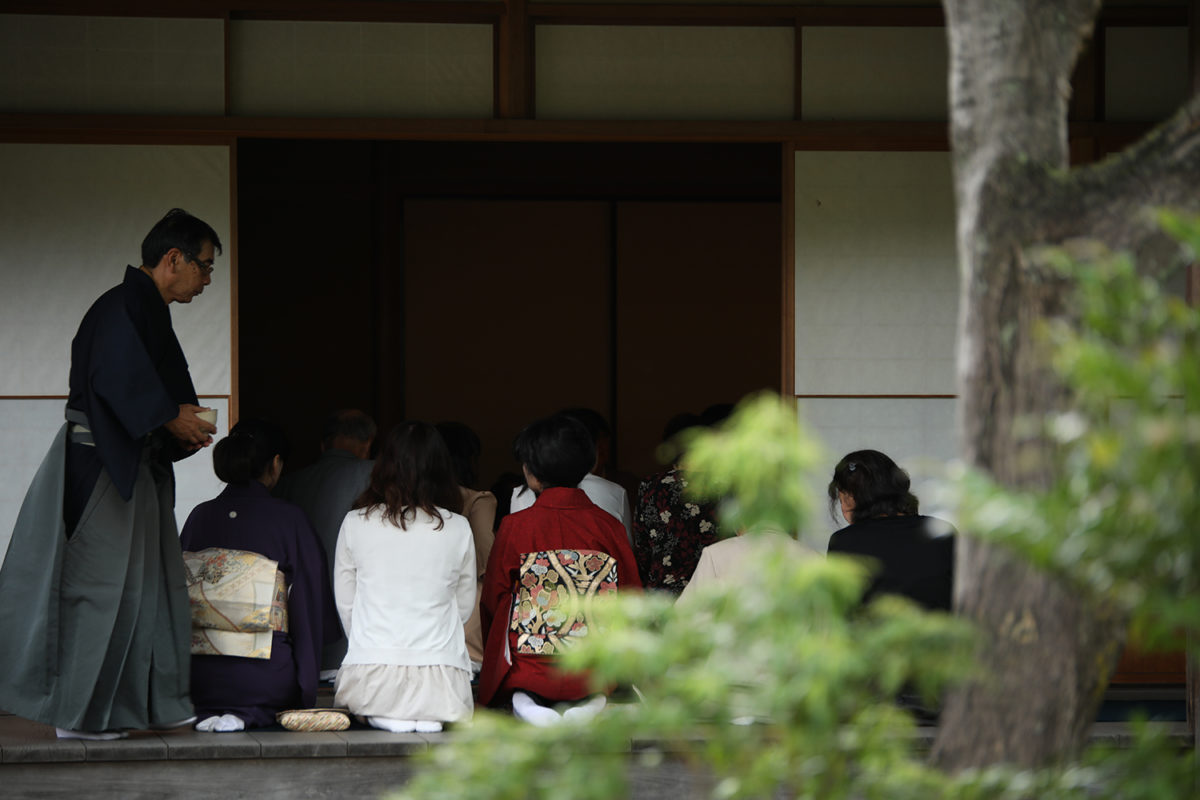 高台寺 北政所茶会 舞妓さんより稀少 嶋原太夫のお点前と太夫道中 オマツリジャパン 毎日 祭日