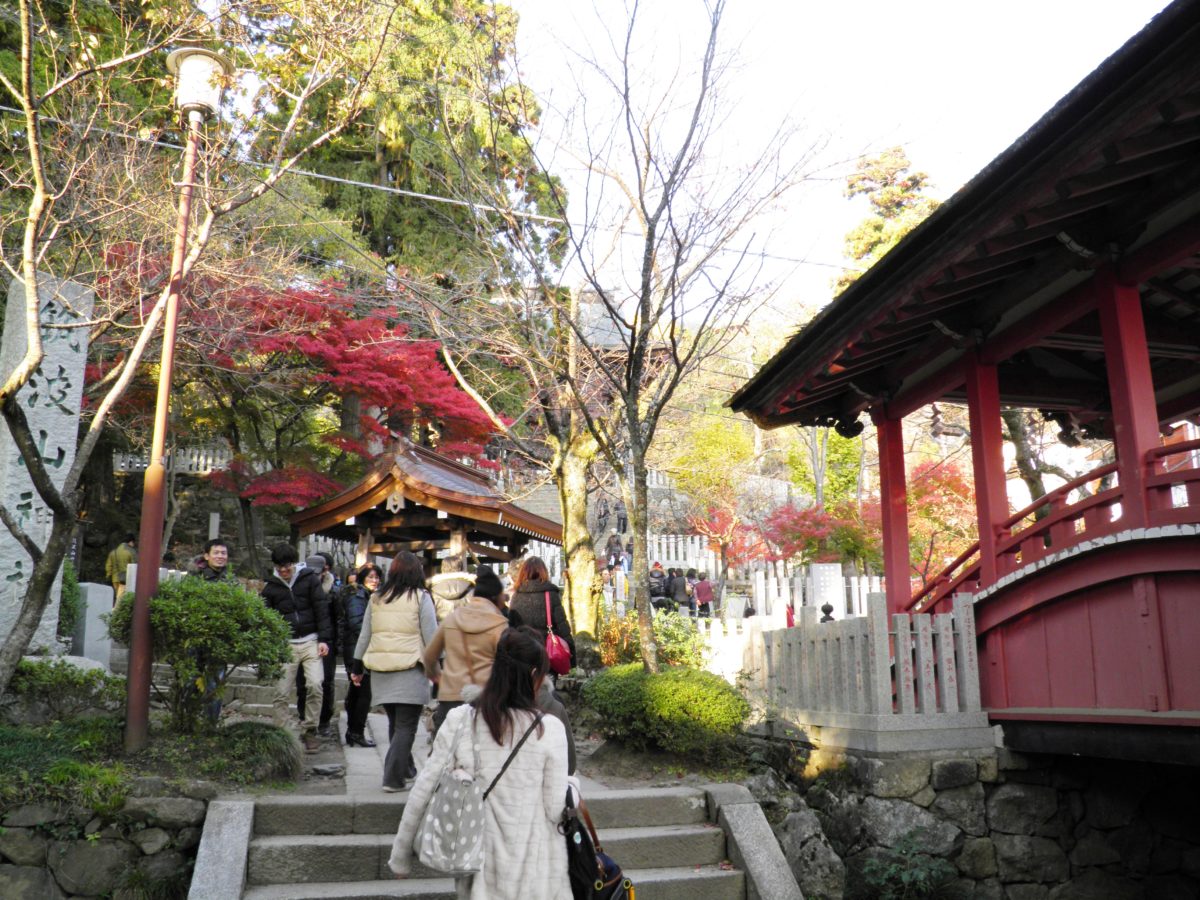 筑波山もみじまつり 筑波山神社の宮脇からケーブルカーに乗って筑波山を丸ごと紅葉狩り オマツリジャパン 毎日 祭日