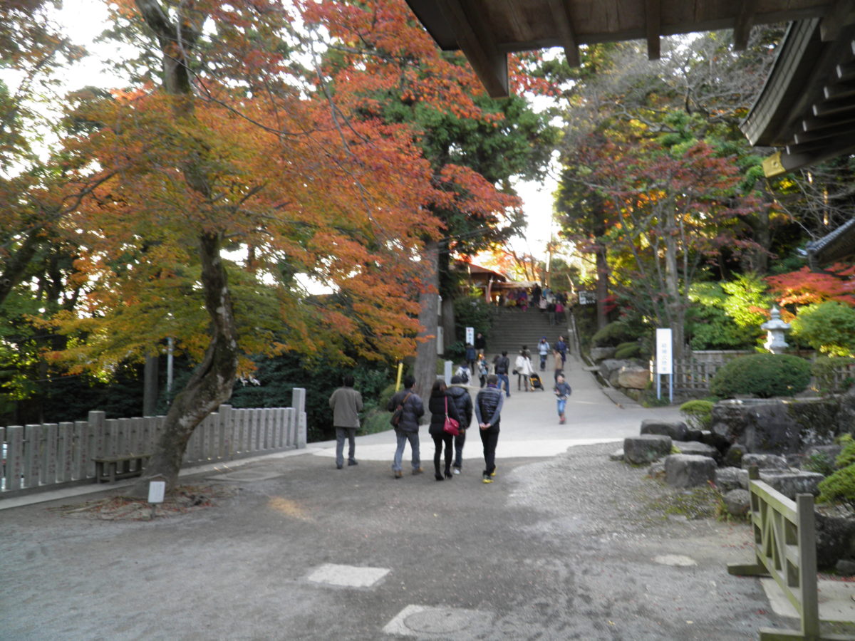 筑波山もみじまつり 筑波山神社の宮脇からケーブルカーに乗って筑波山を丸ごと紅葉狩り オマツリジャパン 毎日 祭日