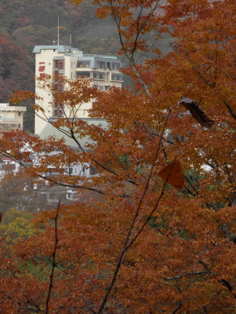 川治温泉紅葉まつり 首都圏から1泊2日で温泉に浸かりながらの紅葉狩り オマツリジャパン 毎日 祭日