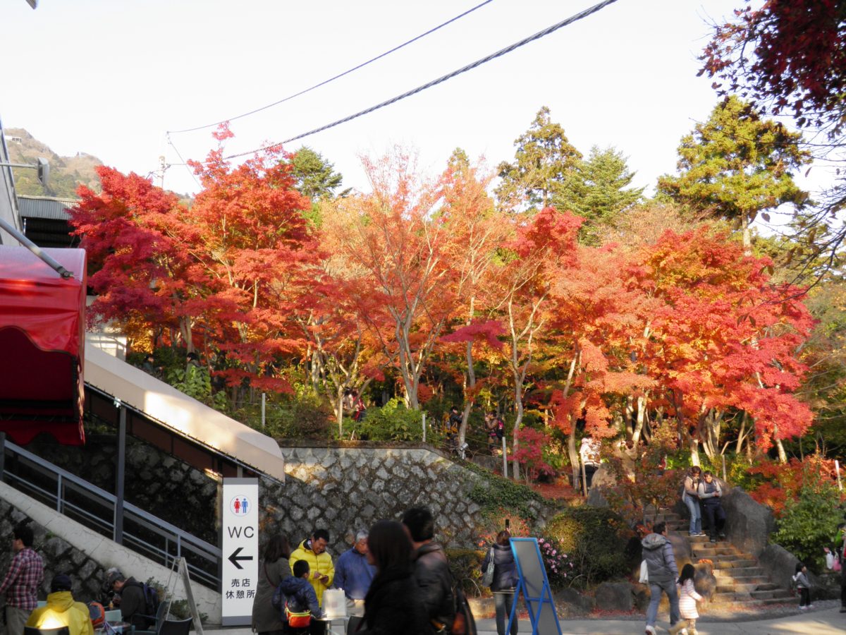 紅葉まつりに行こう 関東で秋の色彩を背景に催される 紅葉まつり 9選 オマツリジャパン 毎日 祭日