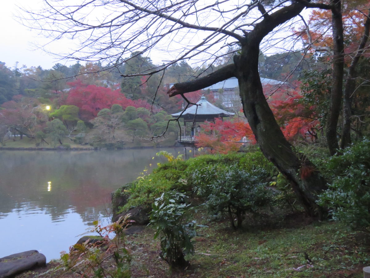 成田山公園紅葉まつり 庭園中央の3つの池を彩る紅葉を鑑賞した後に味わう成田名物のうなぎ オマツリジャパン 毎日 祭日