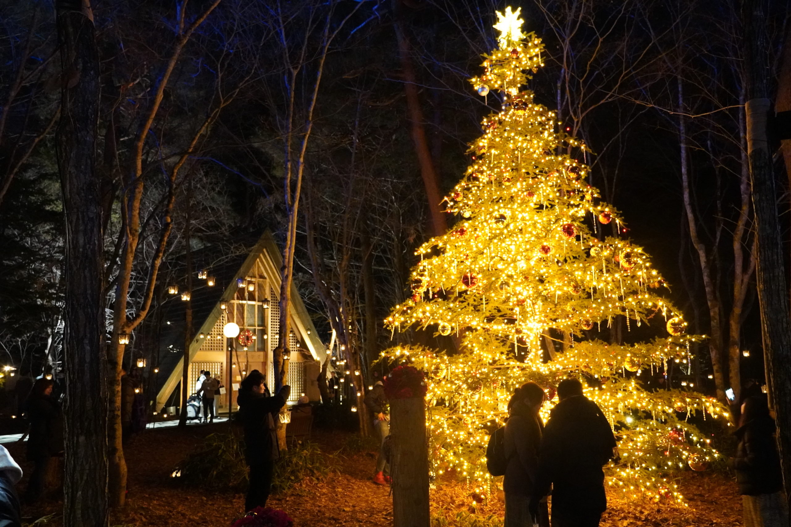 軽井沢高原教会 星降る森のクリスマス は日帰りで楽しめる 帰りに温泉も オマツリジャパン あなたと祭りをつなげるメディア