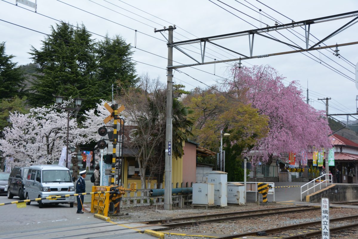 長瀞桜まつり 月日を変え長瀞の隅々を移動する桜の園 オマツリジャパン 毎日 祭日