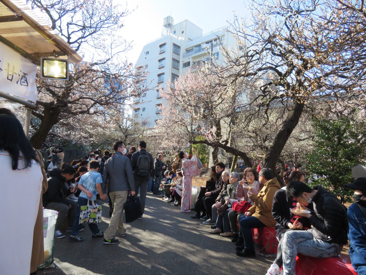 湯島天神梅まつり 菅原道真を祀る神社で白加賀が初春の彩りを放つ梅園 オマツリジャパン 毎日 祭日