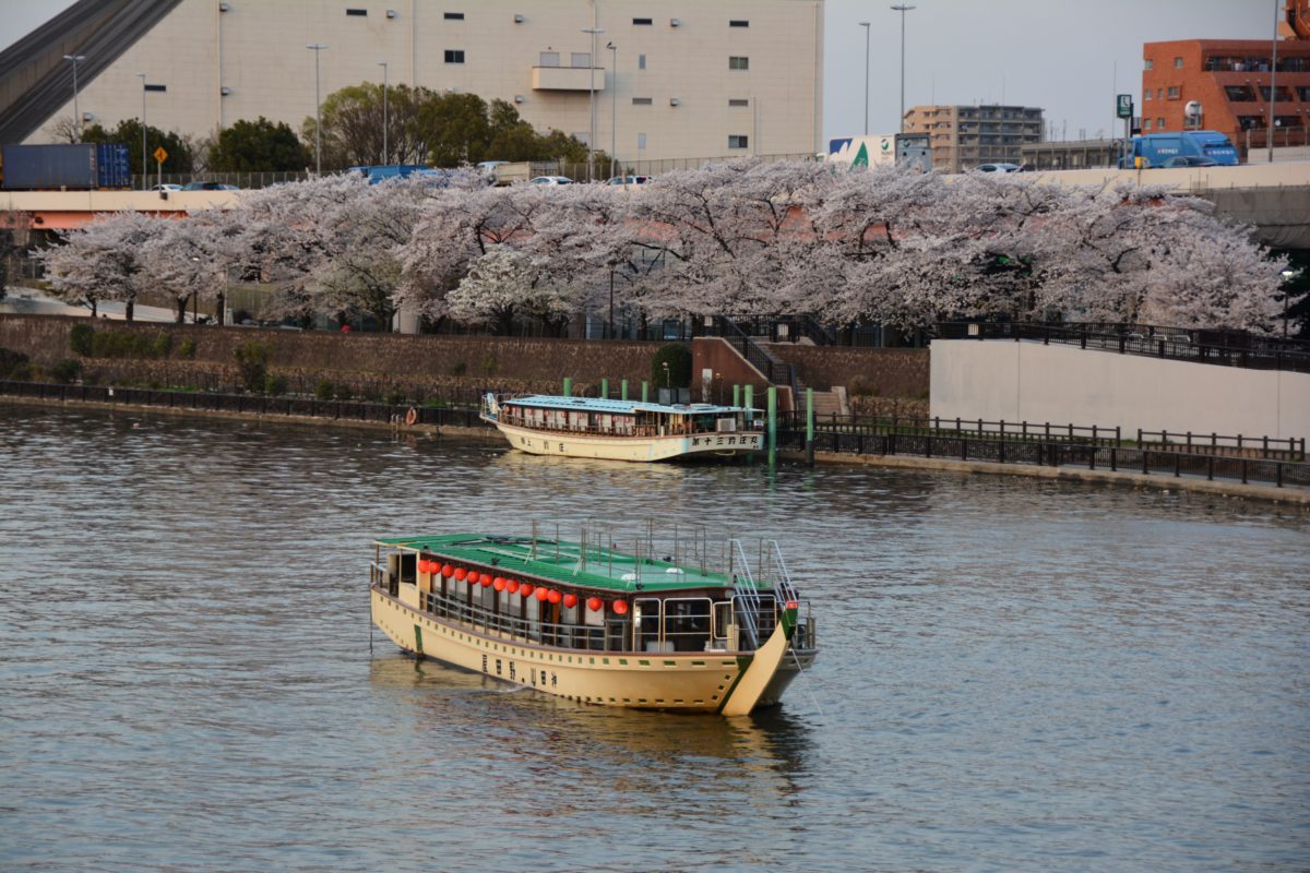 墨堤さくらまつり 屋台船から隅田川の流れに乗って眺める江戸時代を起源とする桜の花 オマツリジャパン 毎日 祭日