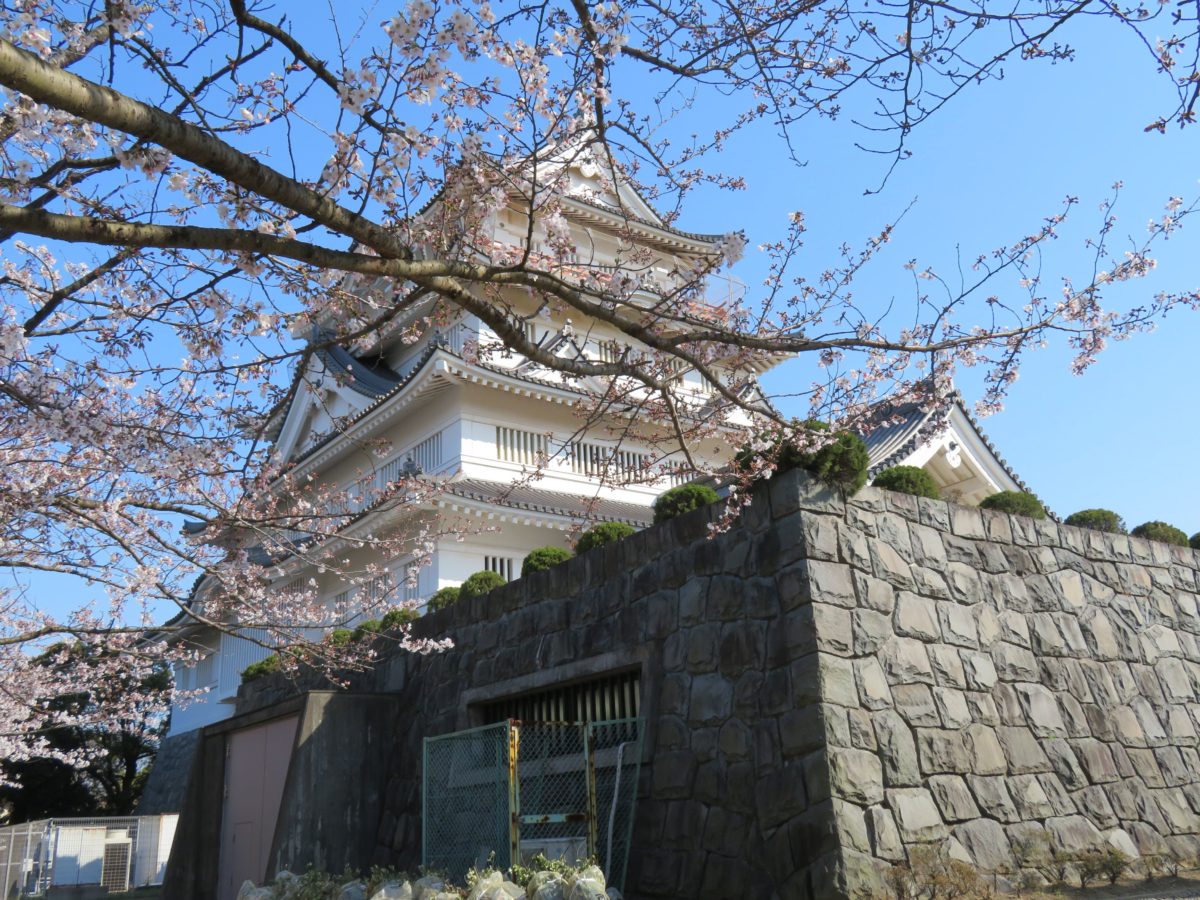 千葉城さくら祭り 再建された天守閣を彩る亥鼻公園のソメイヨシノ オマツリジャパン 毎日 祭日