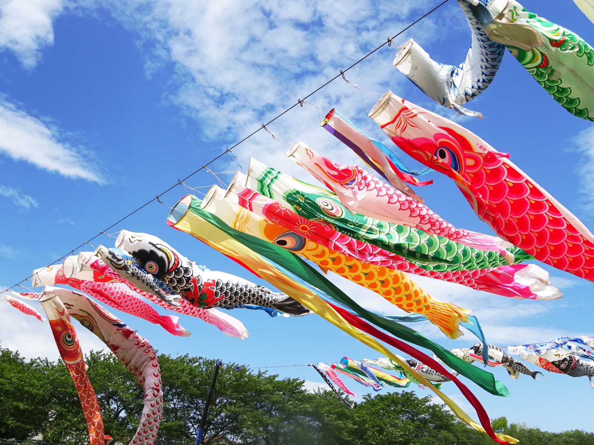 鯉のぼりとは いつからいつまで飾る 値段は 鯉のぼりのお祭りも紹介 オマツリジャパン 毎日 祭日