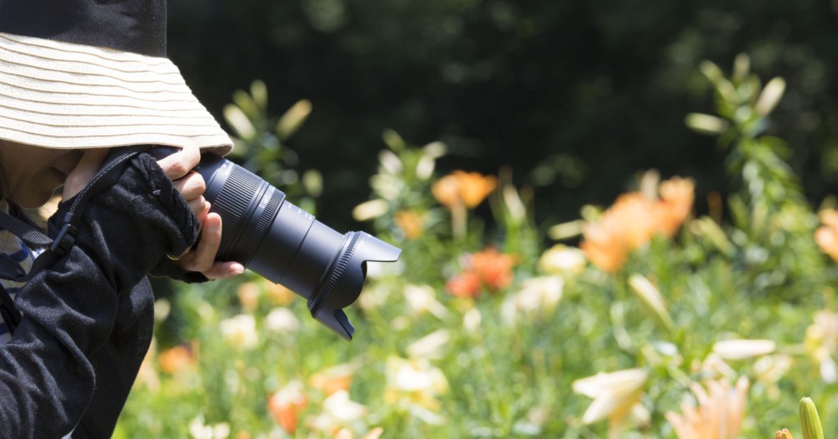 Sns映え間違いなし 花の写真の撮り方やコツを伝授します オマツリジャパン 毎日 祭日