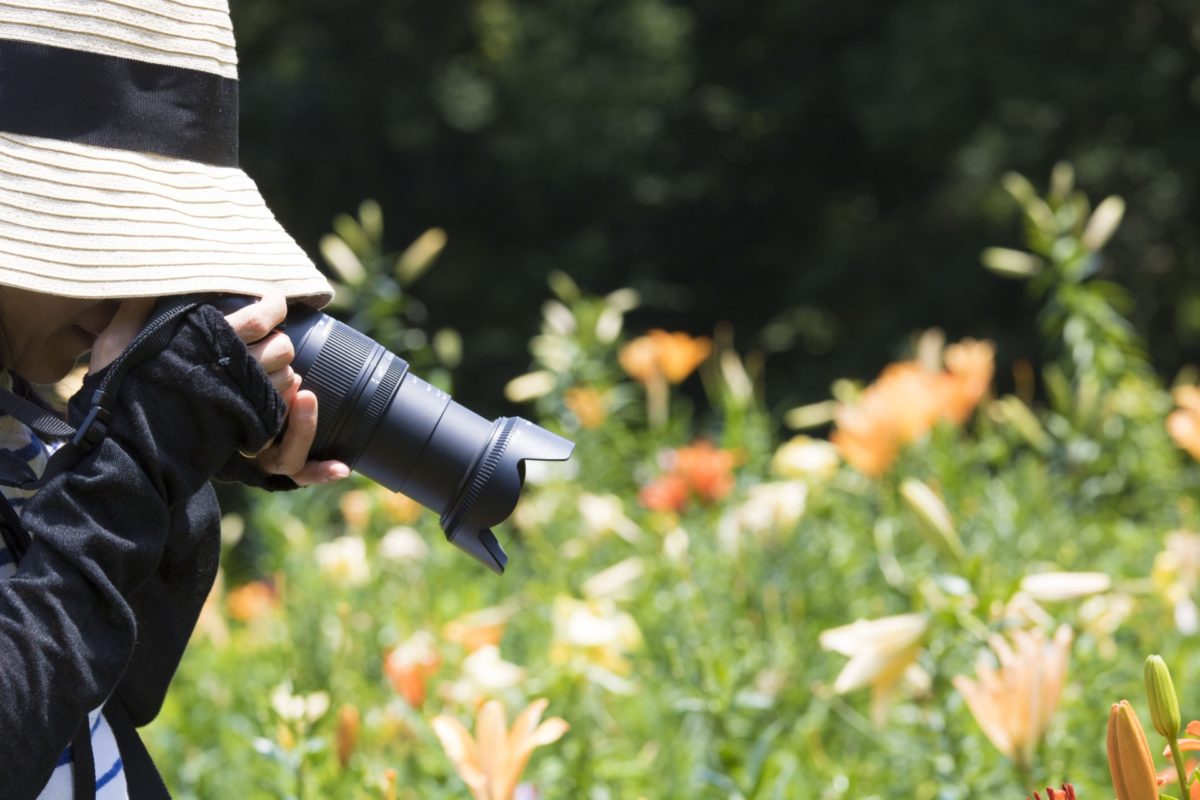 Sns映え間違いなし 花の写真の撮り方やコツを伝授します オマツリジャパン 毎日 祭日