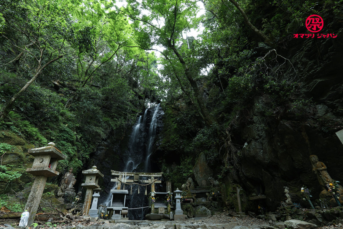 しぐれ桜法要 良い人だけが辿り着ける極楽の寺 月輪寺 オマツリジャパン 毎日 祭日