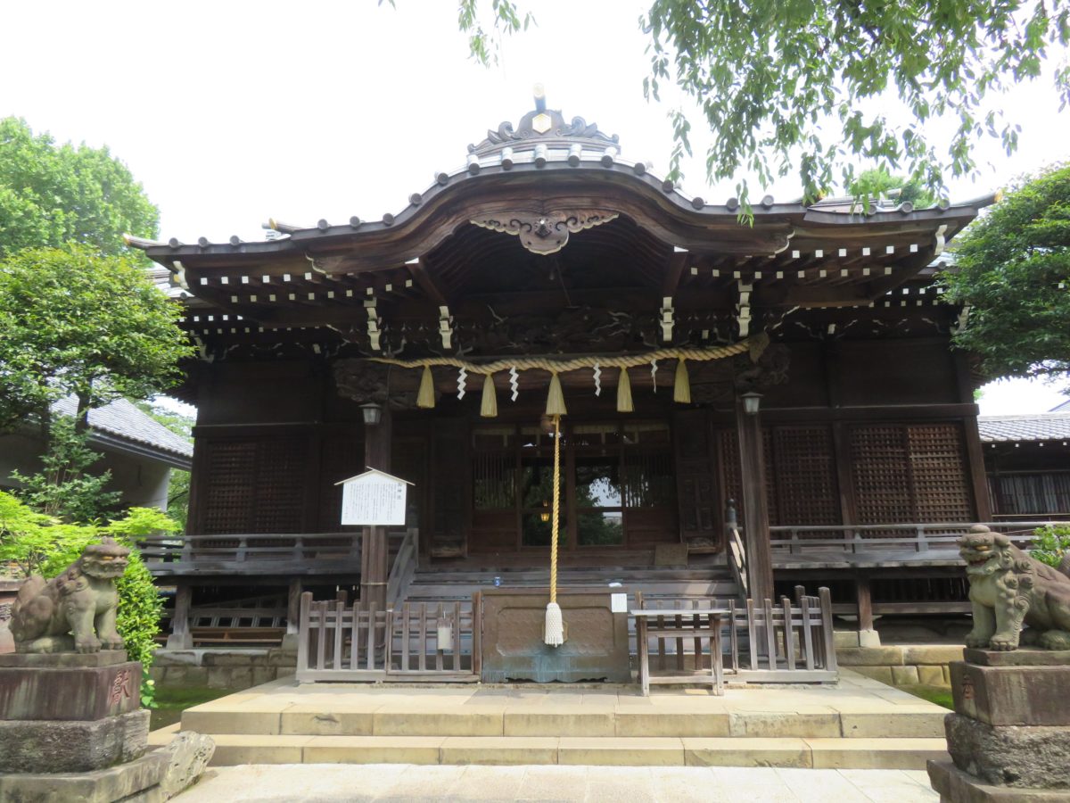 文京あじさいまつり 白山神社の富士塚で立体的に重なり合うあじさいの花 オマツリジャパン 毎日 祭日