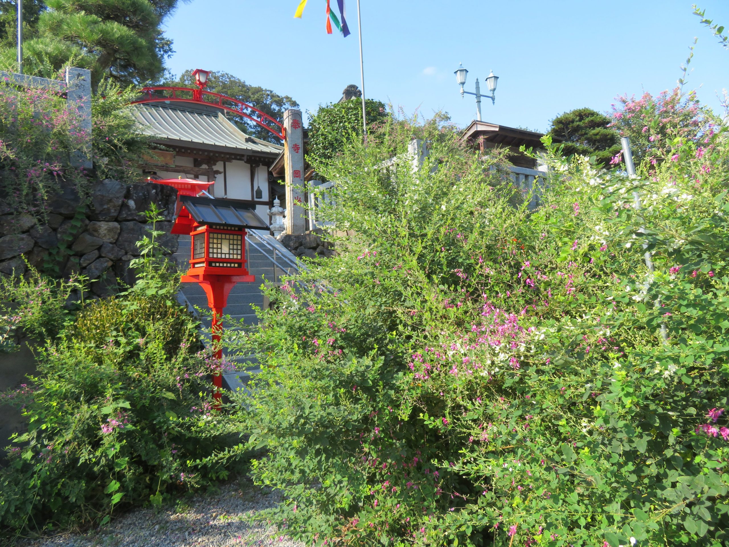 寺岡山元三大師 萩まつり おみくじの創始者を祀る寺院を彩る萩の花 オマツリジャパン 毎日 祭日