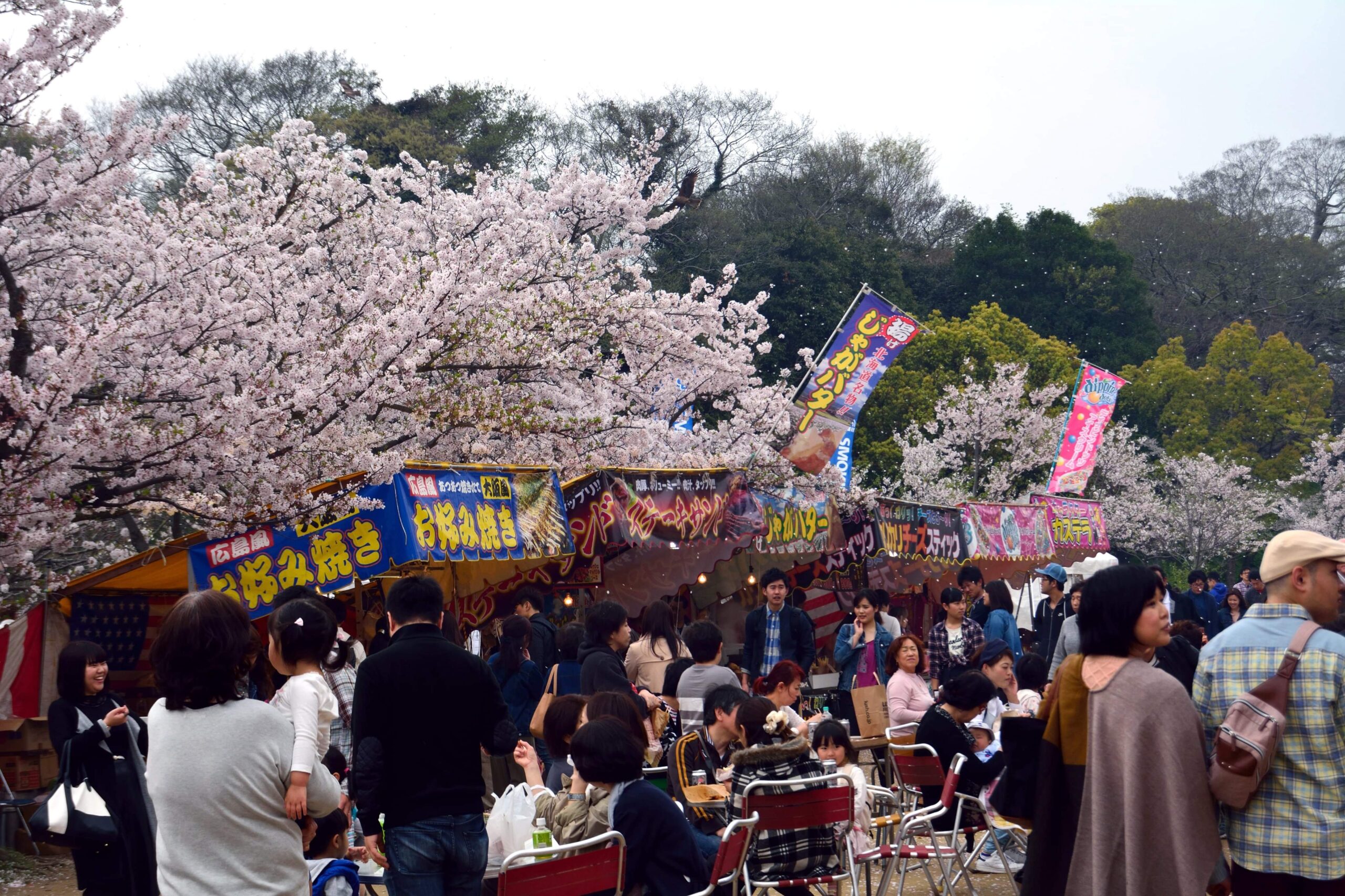 テキ屋を続けて祖父の代から60年 あなたの知らないテキ屋の世界 オマツリジャパン あなたと祭りをつなげるメディア