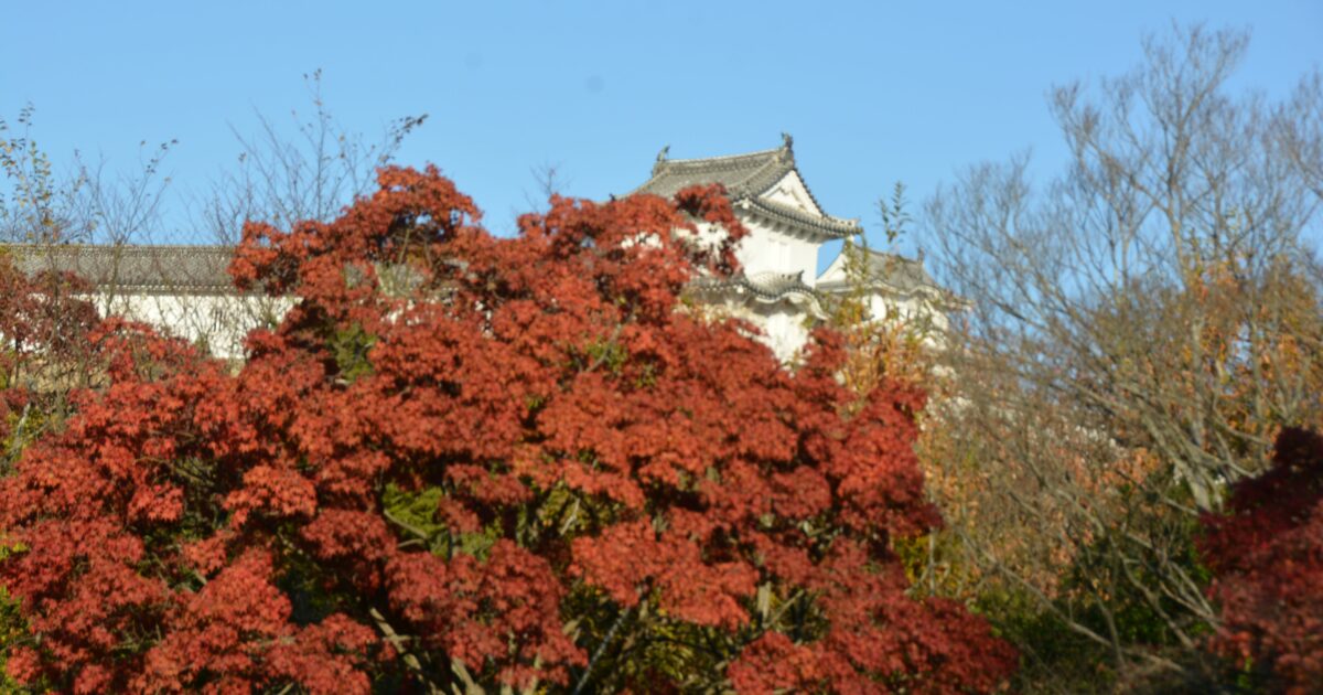 好古園紅葉会 日本の秋の情緒と歴史が感じられる姫路城の池泉回遊式庭園 オマツリジャパン 毎日 祭日