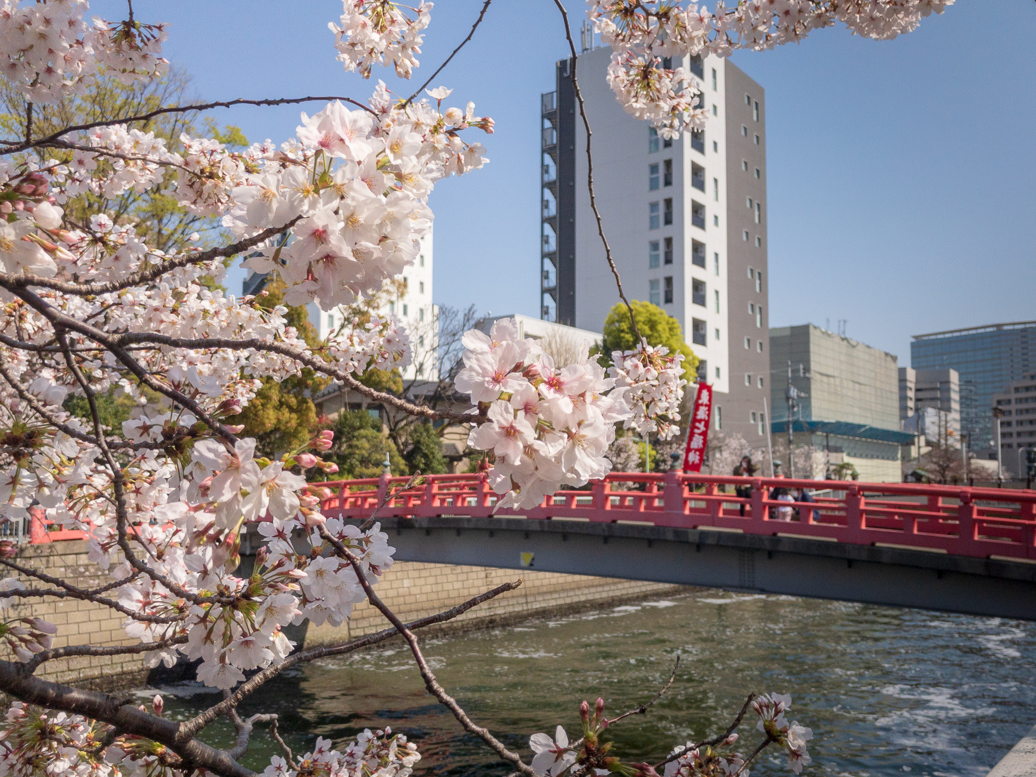 目黒川の桜 五反田駅 旧東海道 品川橋 を巡るぶらり散歩 オマツリジャパン あなたと祭りをつなげるメディア 目黒川の桜 五反田駅 旧東海道 品川橋 を巡るぶらり散歩 オマツリジャパン あなたと祭りをつなげるメディア
