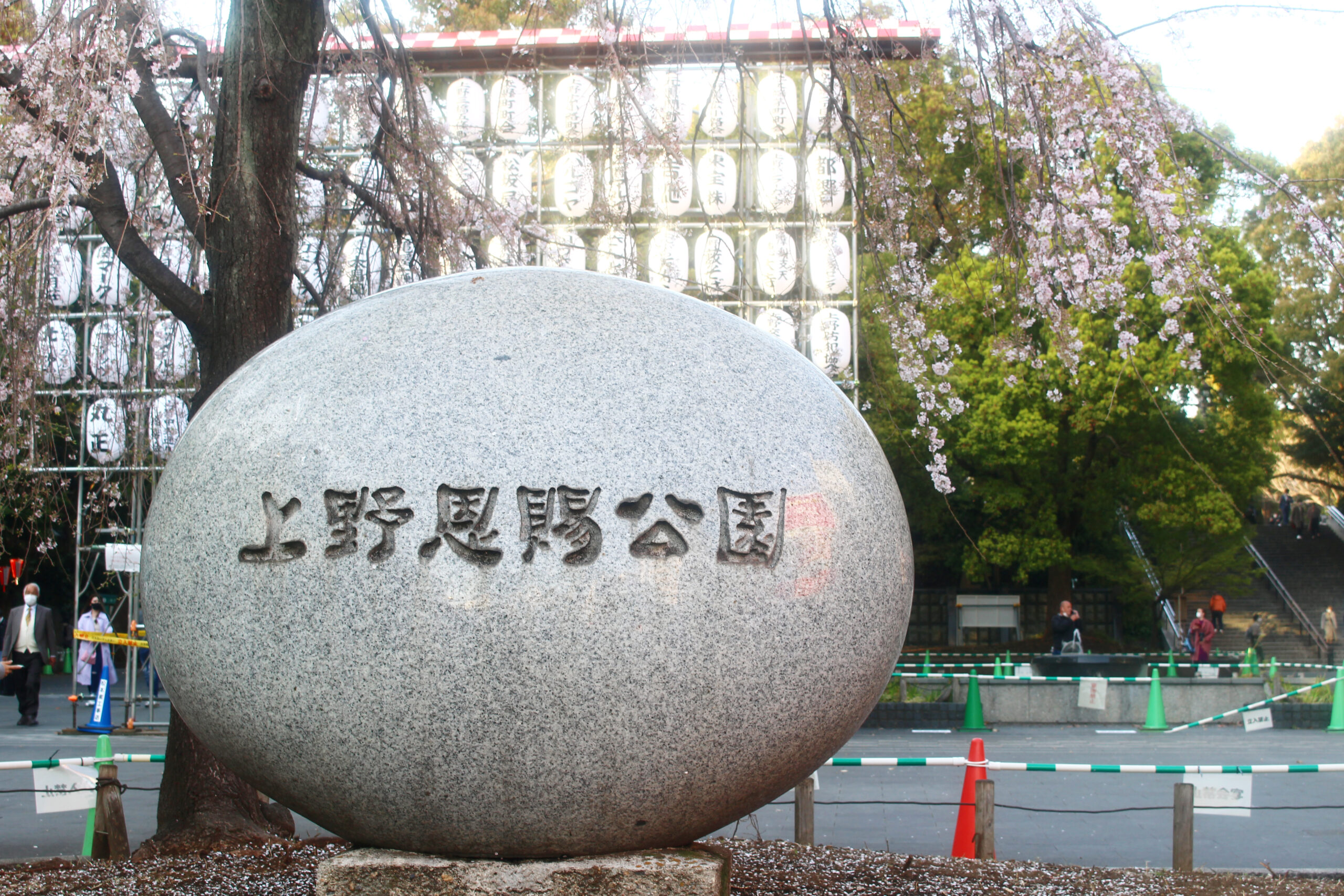 上野恩賜公園の桜 今年は歩いて見よう 園内の桜見どころスポットも紹介 オマツリジャパン 毎日 祭日