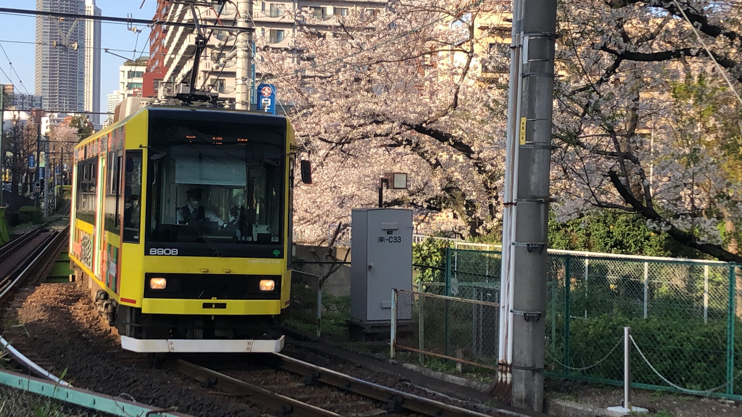 東京さくらトラム】「学習院下」は都電×桜が同時に撮れる絶好のフォト