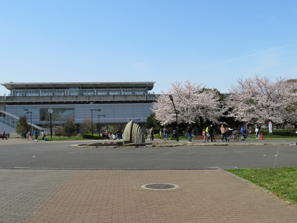 舎人公園千本桜まつり 日暮里 舎人ライナーの開通を記念して初開催 オマツリジャパン 毎日 祭日