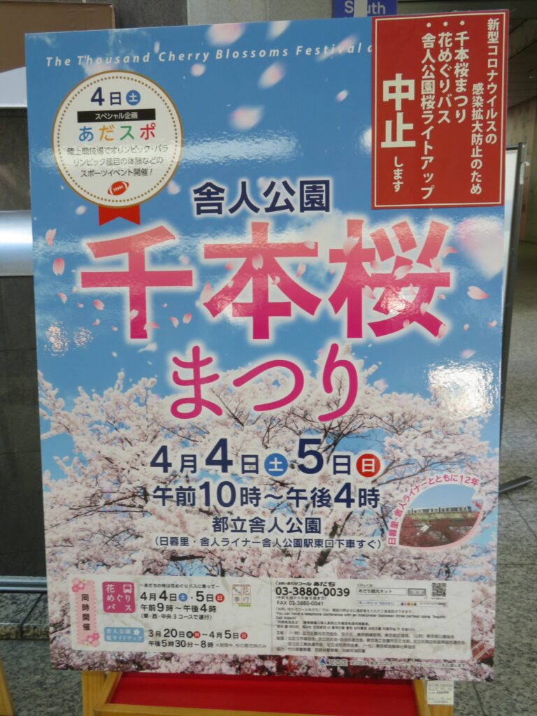 舎人公園千本桜まつり 日暮里 舎人ライナーの開通を記念して初開催 オマツリジャパン 毎日 祭日