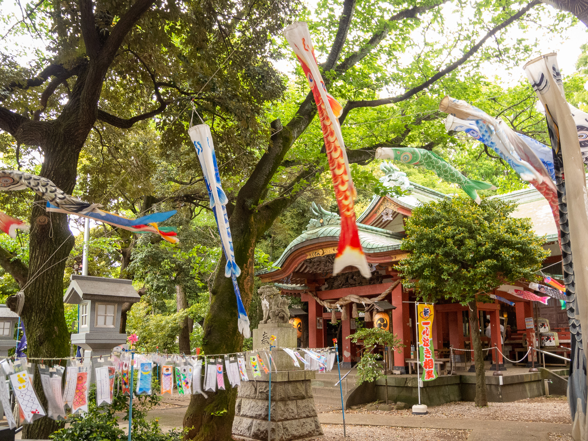 鎮守の杜を泳ぐ、子どもたちの「こいのぼり」雪ヶ谷八幡神社より