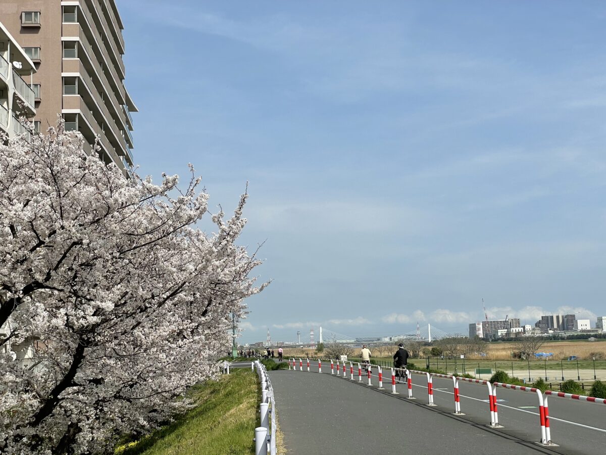 六郷土手の桜 多摩川沿いゆったり土手散策 オマツリジャパン 毎日 祭日