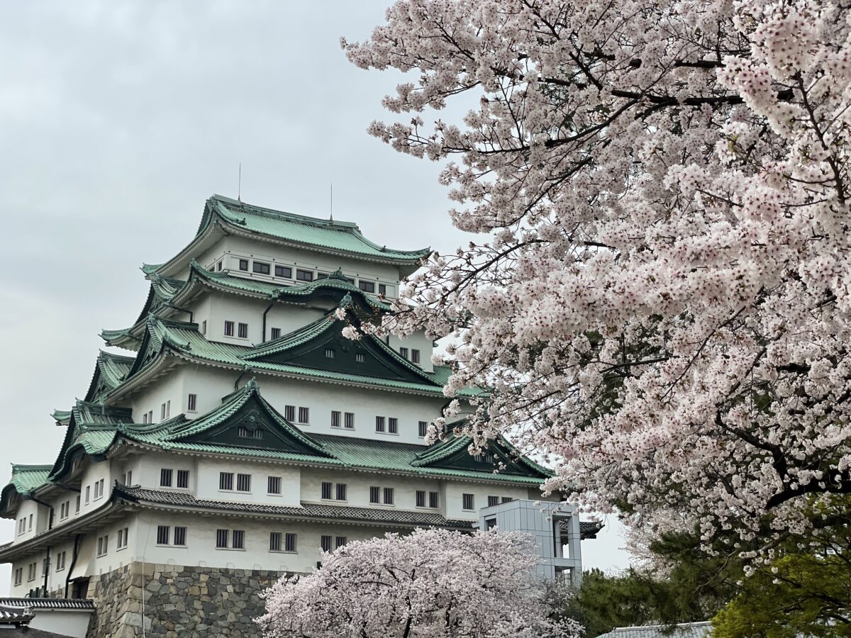 名古屋城春まつり 現地レポート 16年ぶりにあのシンボルが地上に降臨 オマツリジャパン 毎日 祭日